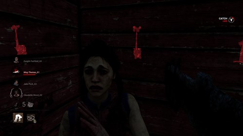 Finding a hiding Survivor