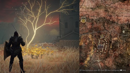 Elden Ring Golden Seeds: caelid 1