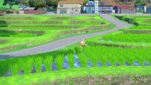 Yanma and rice paddies in front of Mossui Town in The Teal Mask